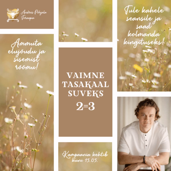 KAMPAANIA: "VAIMNE TASAKAAL SUVEKS – 2=3!"